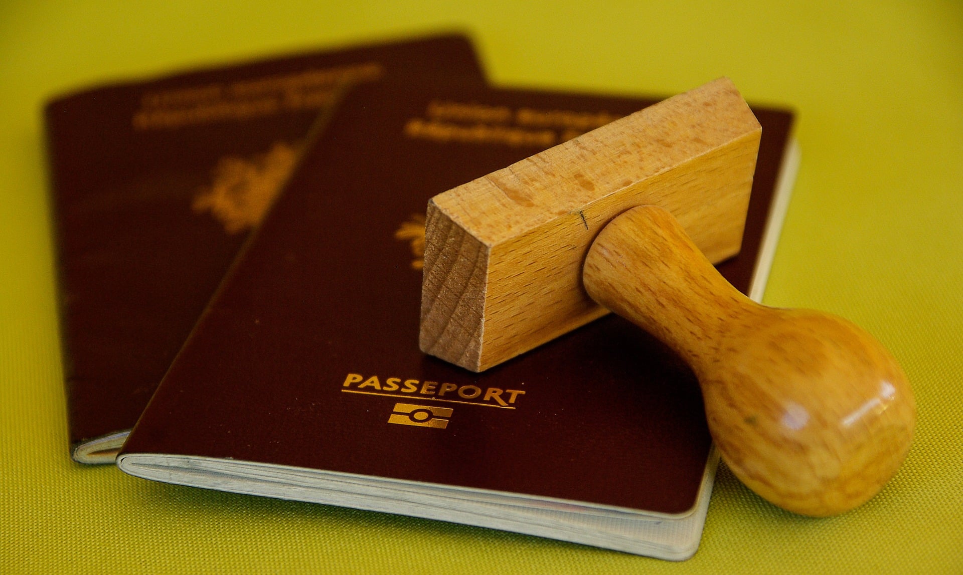 自動車保険の海外中断はパスポートの自動化ゲートに注意